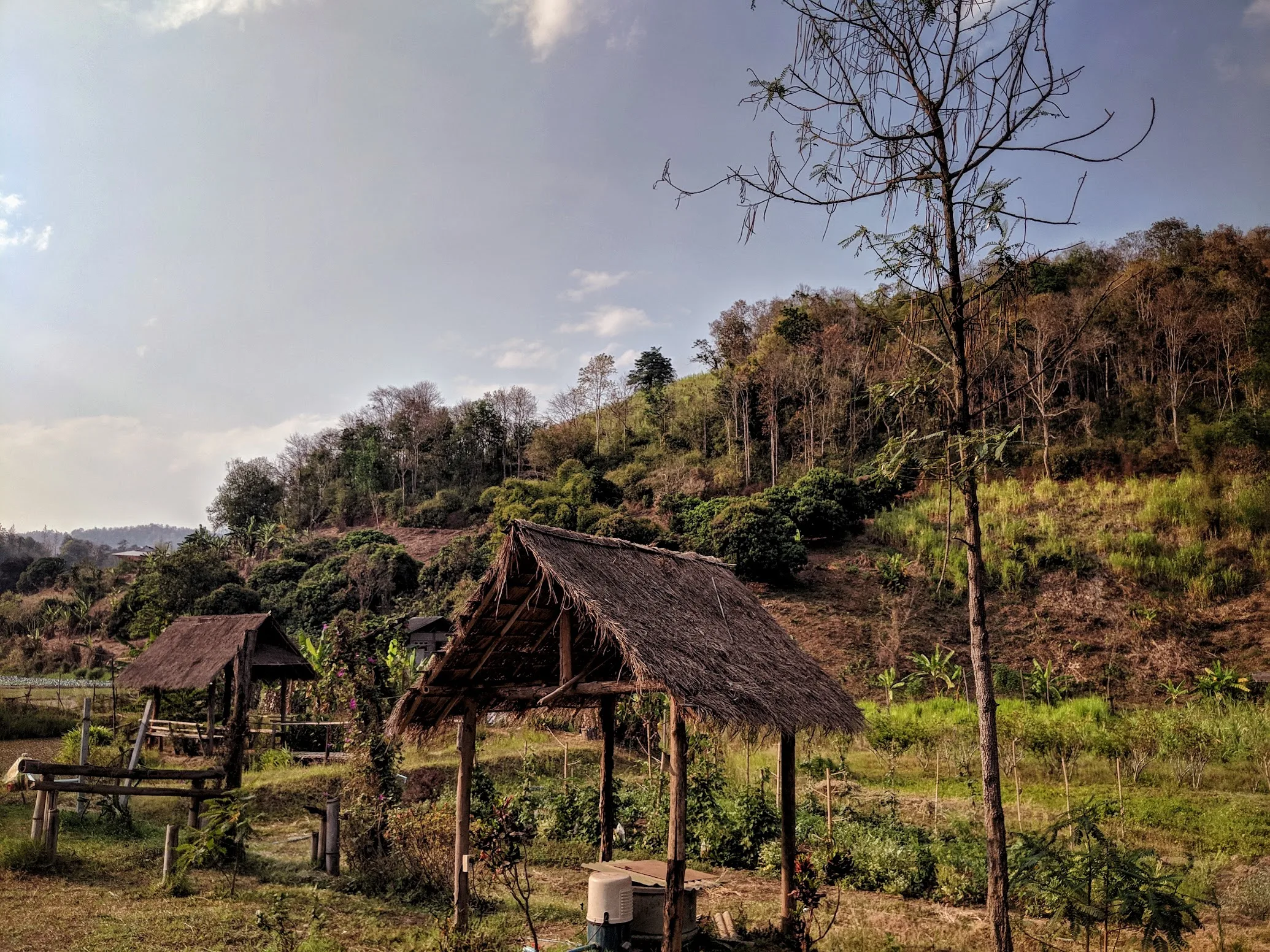 Thatched bamboo shelters on a terraced hillside outside Chiang Mai with a forested ridge behind