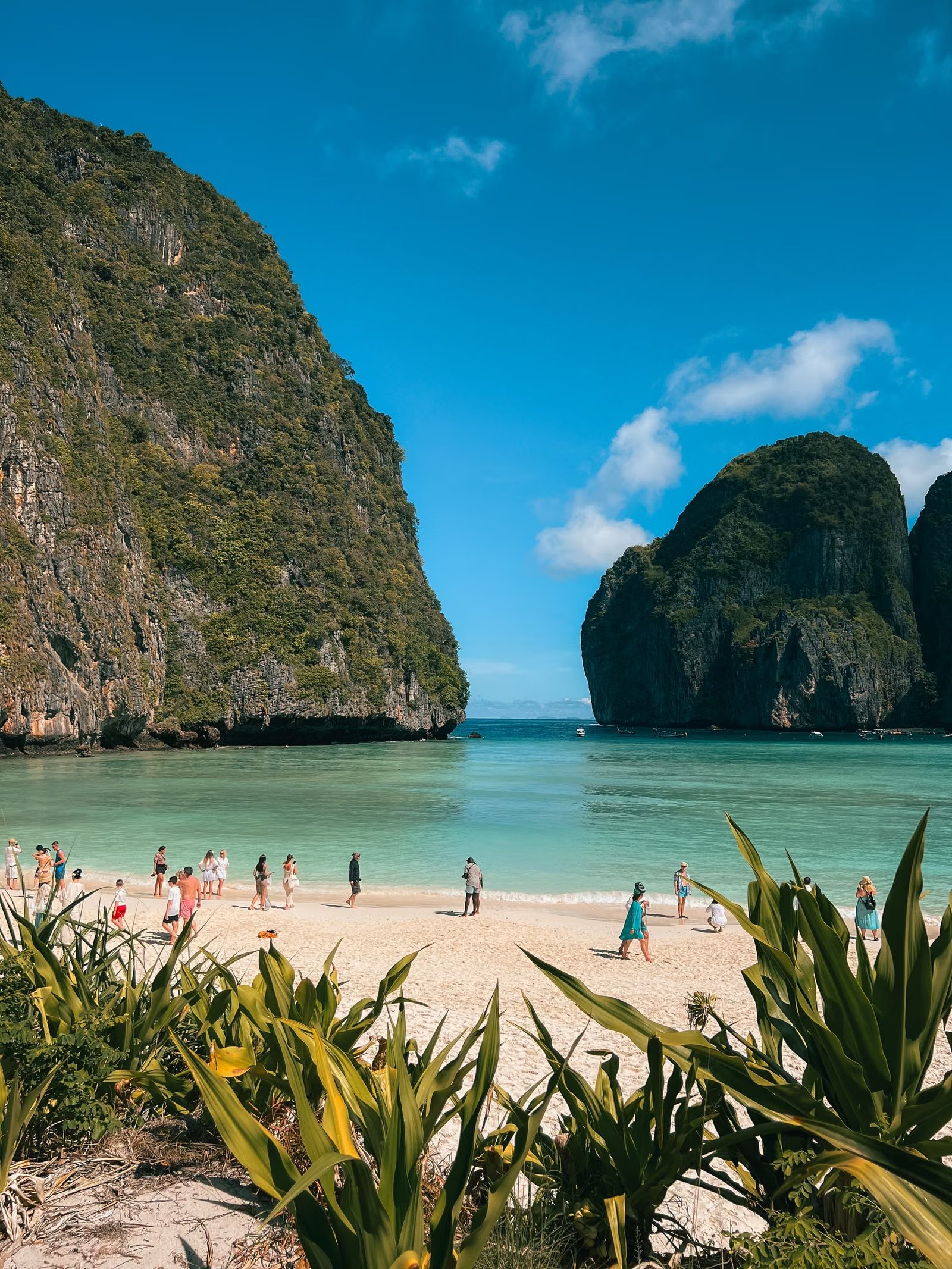 Maya Bay, Koh Phi Phi, a famous filming location