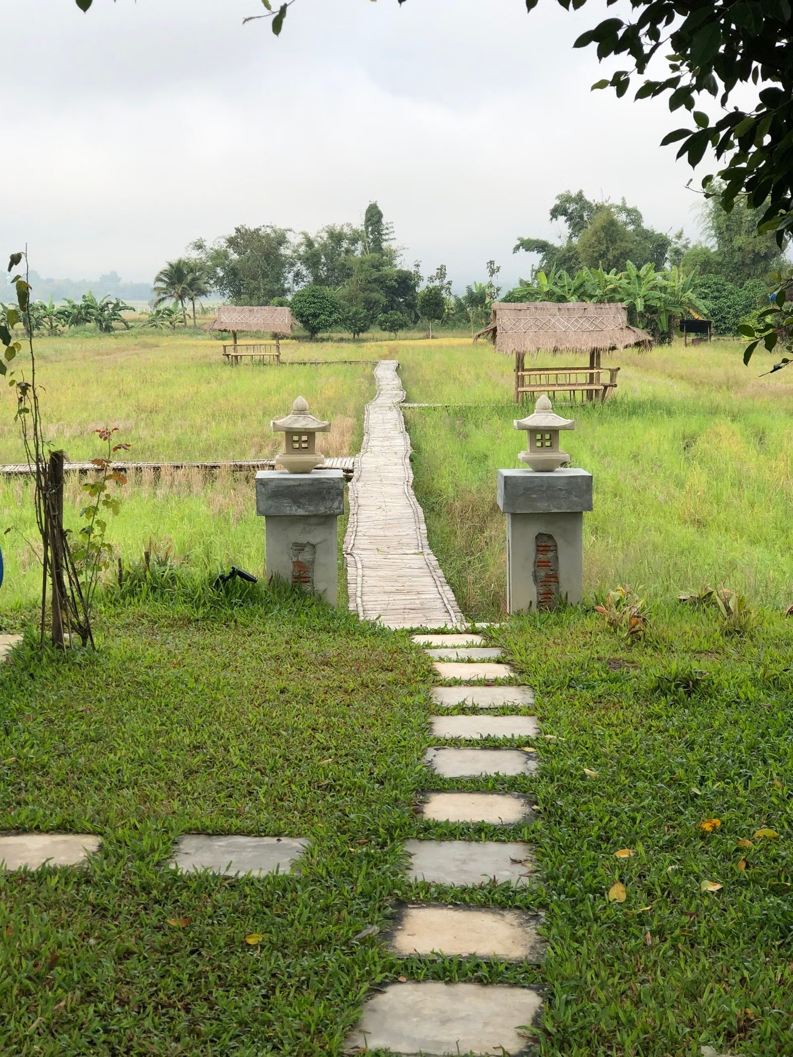 Mo Paeng waterfall in the hills around Pai