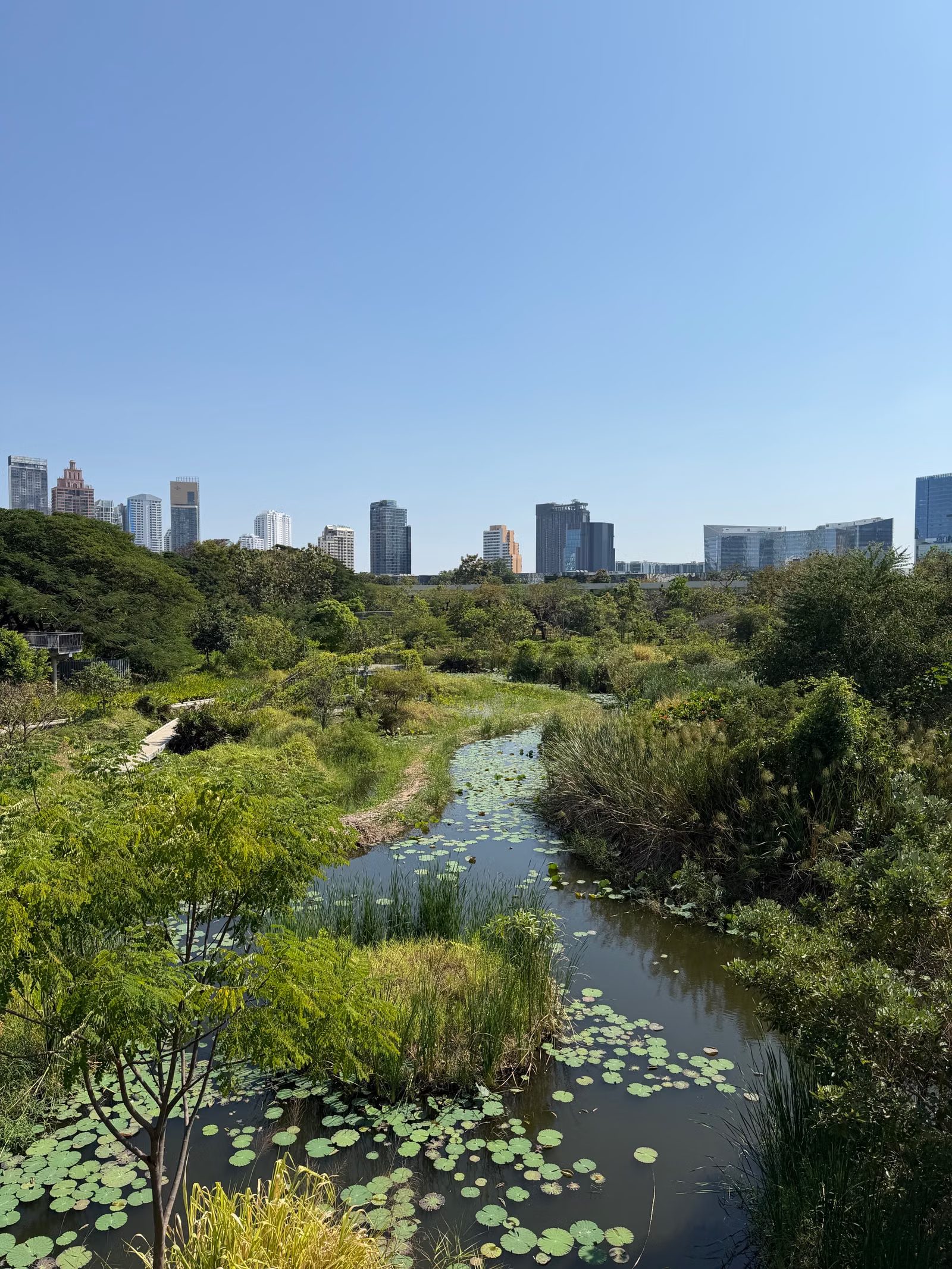 The green wetland of the Bang Krachao peninsula with the Bangkok skyline beyond