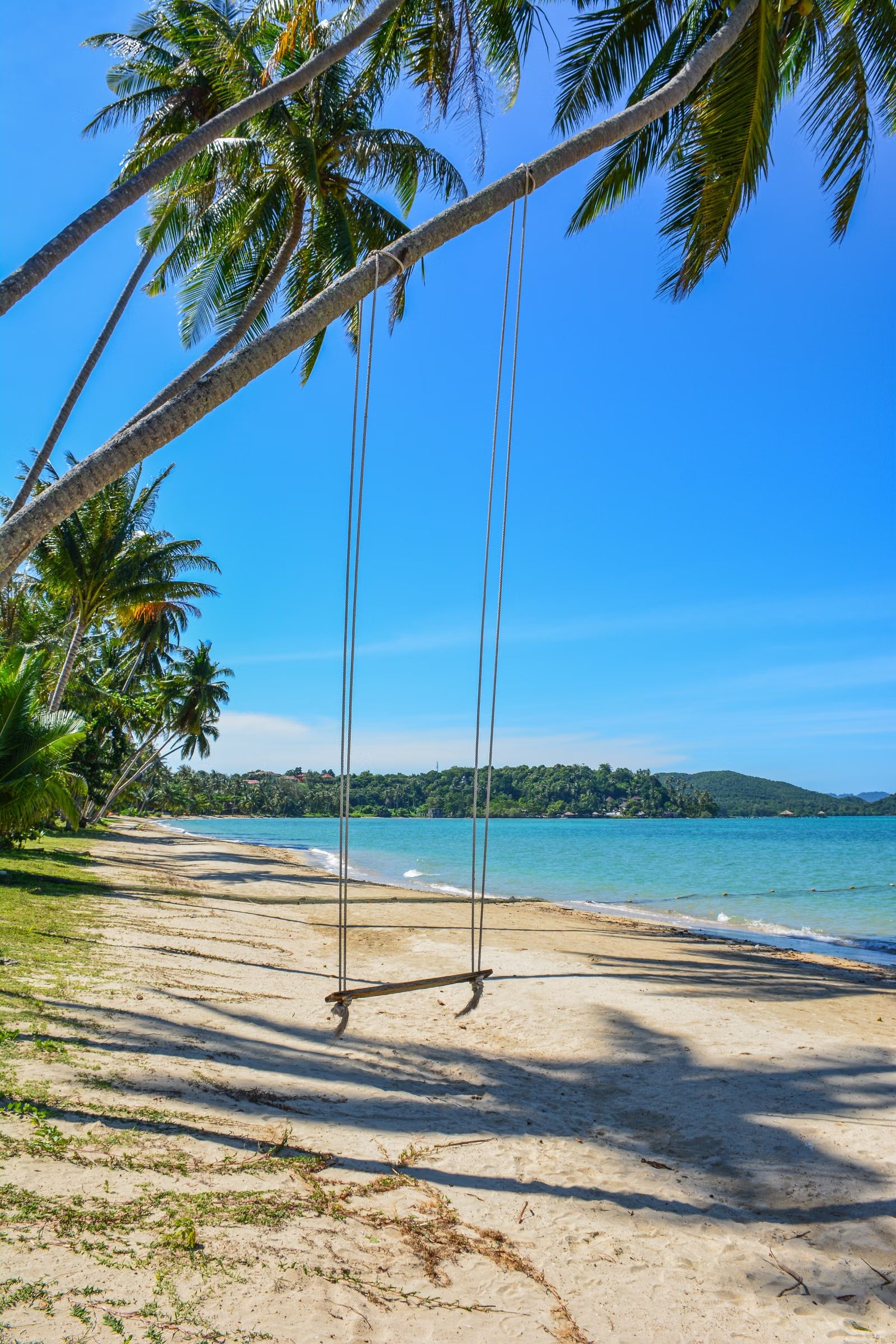 A palm swing over a turquoise Thai island beach