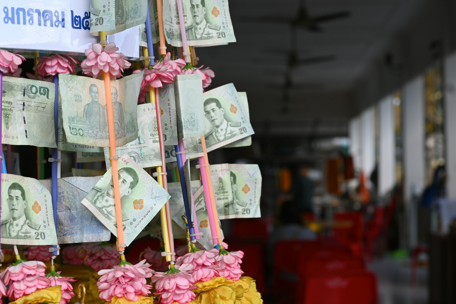 Thai baht notes clipped to a temple offering tree strung with lotus flowers