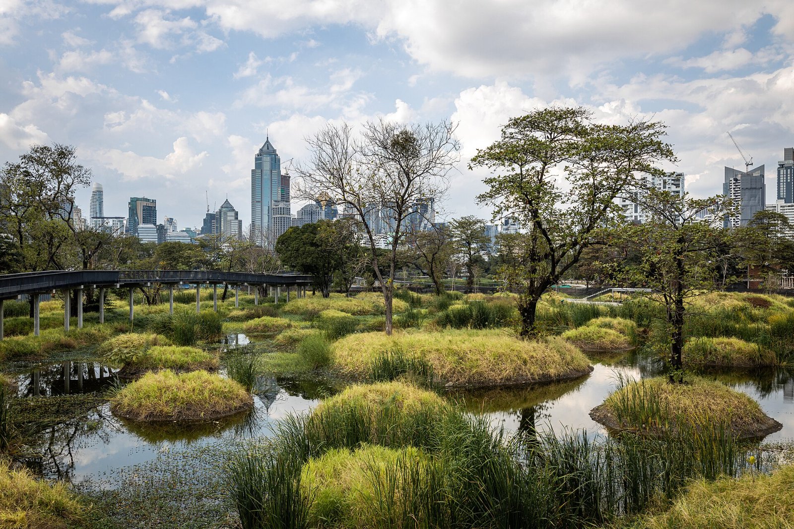 A green Bangkok park with the city skyline behind