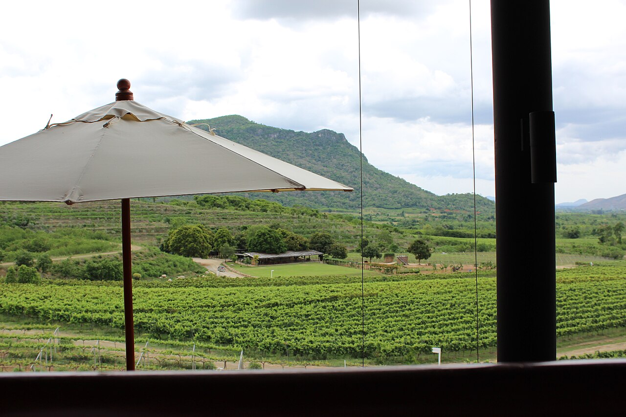 GranMonte / Khao Yai vineyard
