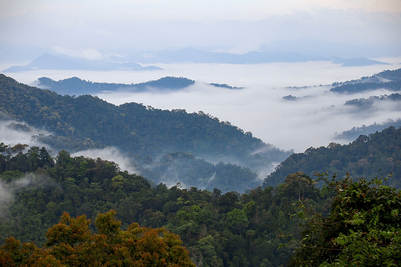 Wide shot: layered ridges and morning mist over Kaeng Krachan