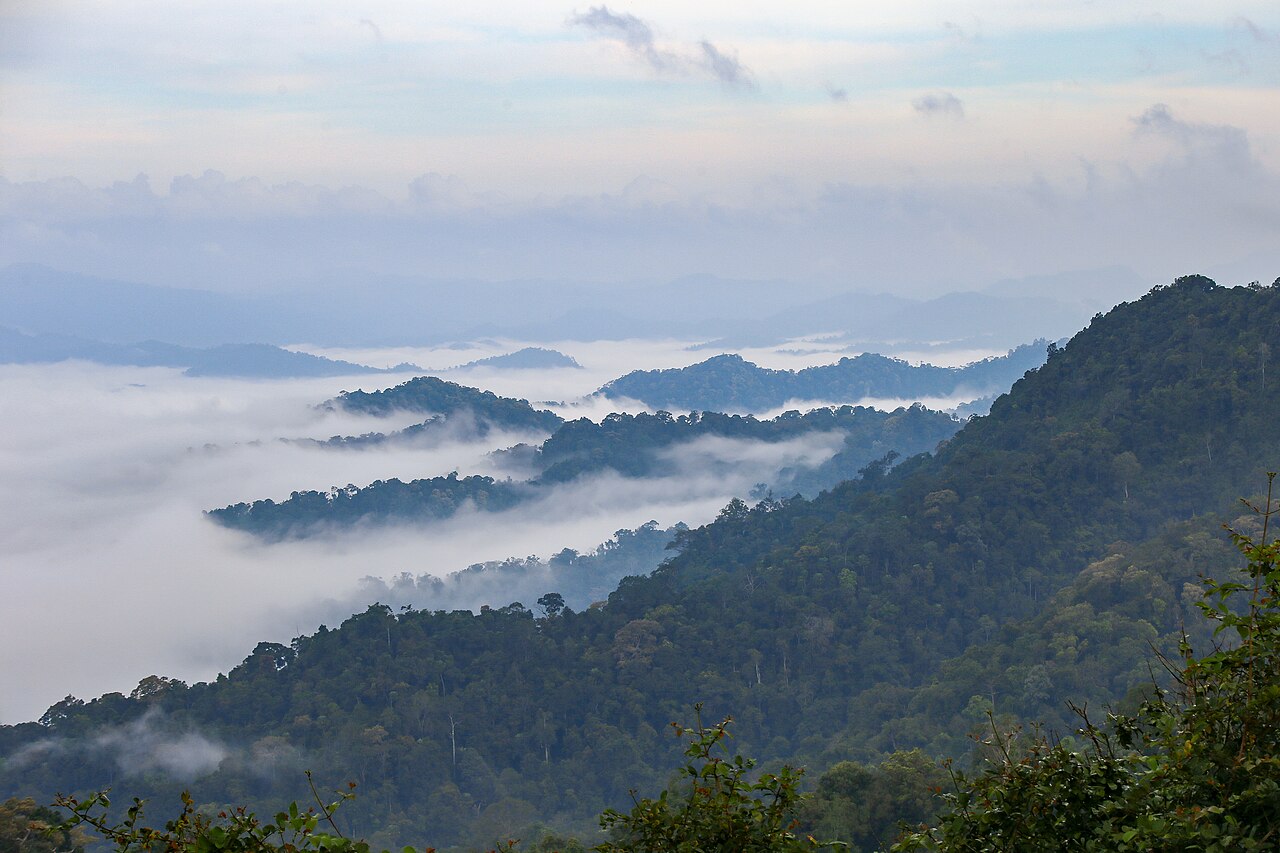 Phanoen Thung sea of fog