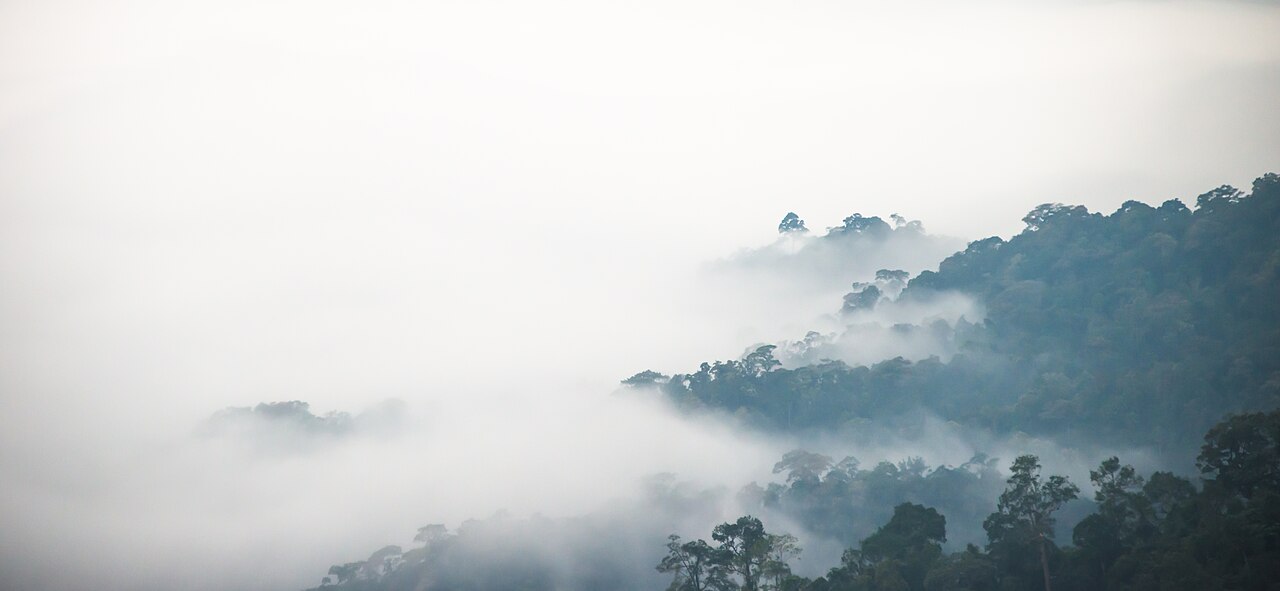 Sea of mist at Phanoen Thung