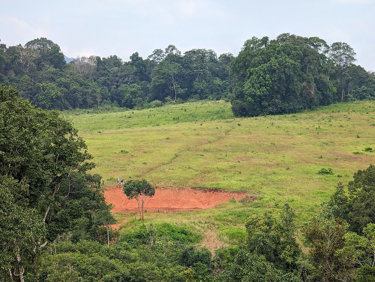 Guided jungle trail